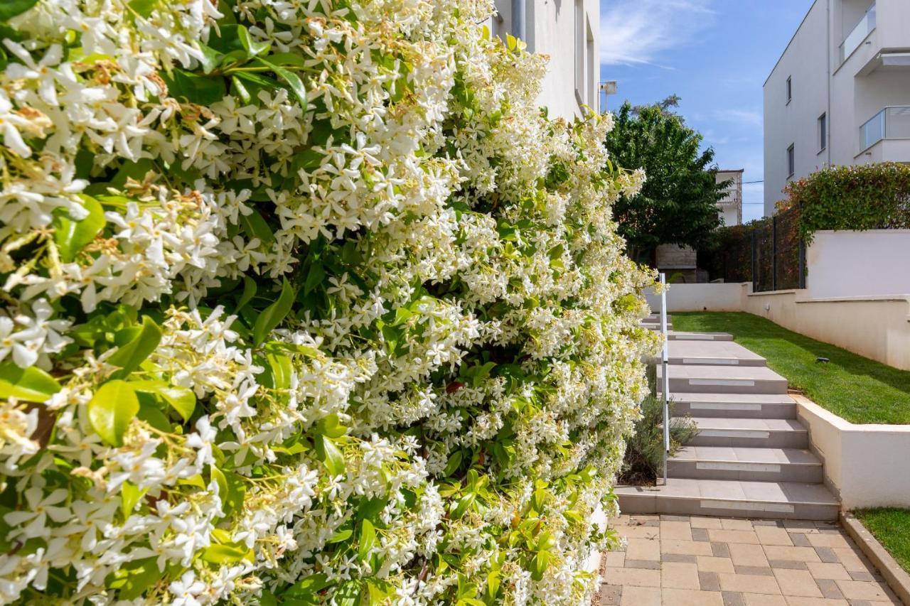 Villa Mirela Петрчане Екстер'єр фото